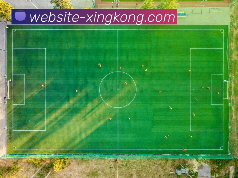 XINGKONG平台生态图