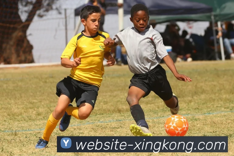 XINGKONGAPP 封面图